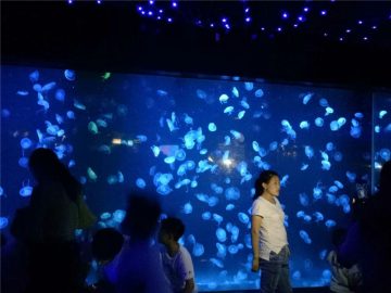 2018 ऐक्रेलिक जेलीफ़िश मछलीघर टैंक ग्लास