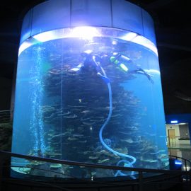 एक्वैरियम या महासागर पार्क के लिए स्पष्ट एक्रिलिक सिलेंडर बड़ी मछली टैंक