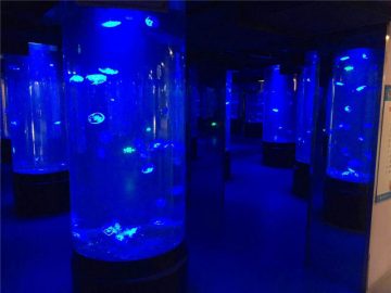 एक्रिलिक जेलीफ़िश मछलीघर टैंक ग्लास