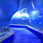 पारदर्शी एक्रिलिक ग्लास सुरंग मछलीघर